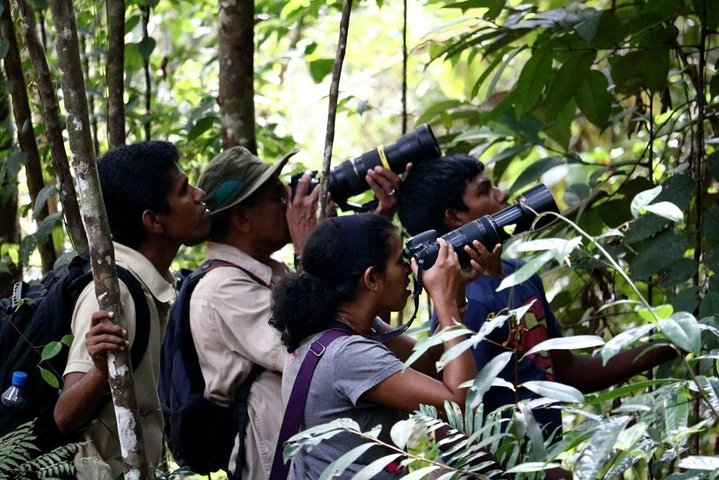 Birdwatching Walk in Sigiriya Countryside - Photo 1 of 15